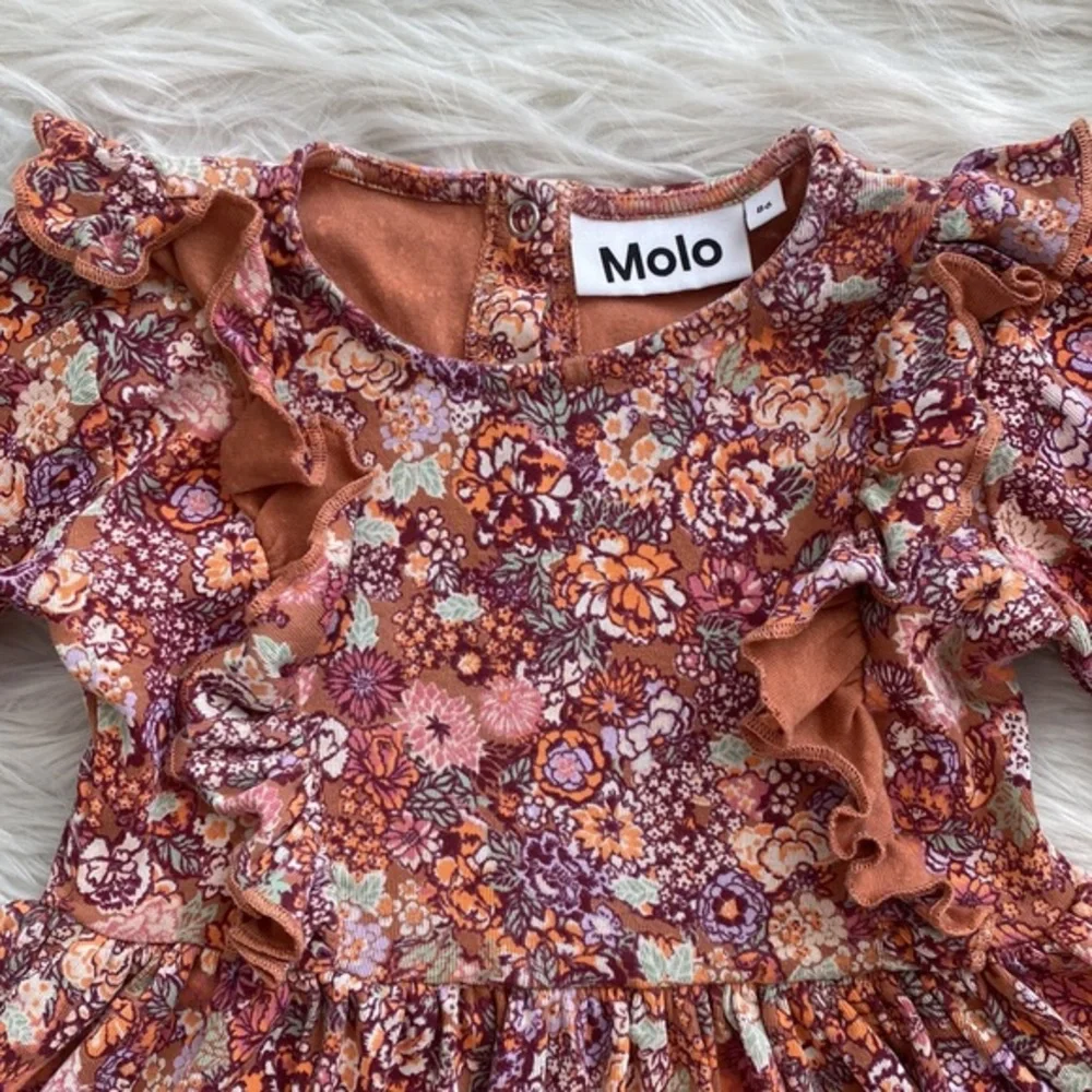 Molo excellent no